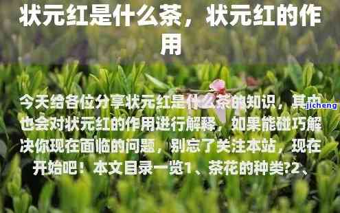 状元红茶叶是什么茶，探秘状元红茶叶：它到底属于哪种茶类？