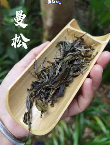 曼松茶陈化效果怎么样？深入熟悉其变化与优缺点