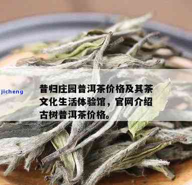 昔归园官网：探索茶文化生活体验馆与园简介