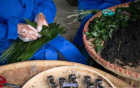 粽叶红茶的冲泡方法：详细步骤与技巧