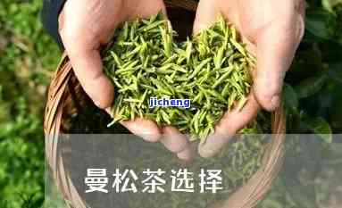 云南曼松茶加盟-云南曼松茶加盟电话