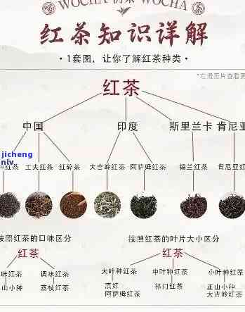 红茶哪种香味浓香好？探讨口感与香气的选择