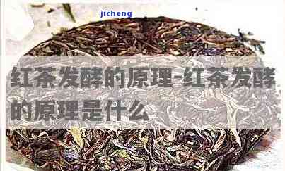 发酵红茶一个字叫什么，解密：发酵红茶的一个字是什么？