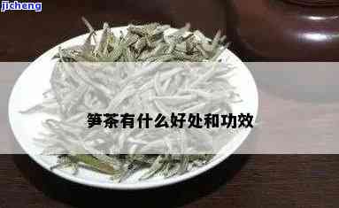 笋茶有什么好处-笋茶有什么好处和坏处