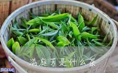 满庭芳是红茶么-满庭芳是红茶么还是绿茶