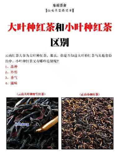 大叶种红茶标准-大叶种红茶标准是多少