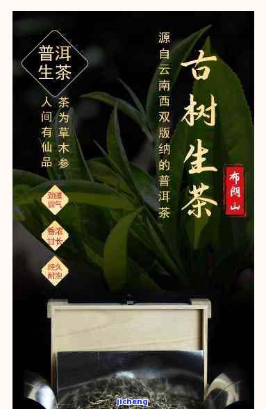 南糯老树早春纯料，【2023年预售】南糯山 春茶 纯料古树普洱生茶 754克 预售中 不参加活动