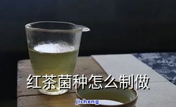 自制红茶菌菌种-自制红茶菌菌种的方法