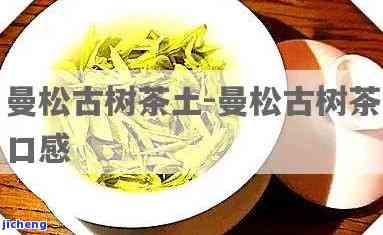 深入解析：曼松茶土特点及种类