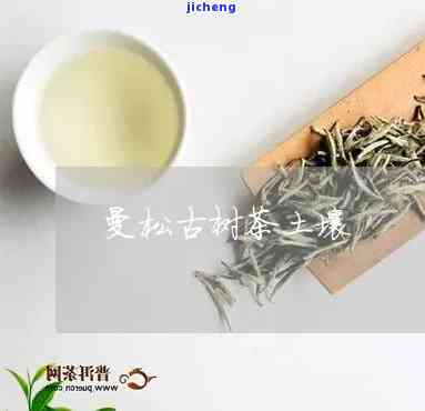 曼松茶土特点-曼松茶土特点是什么