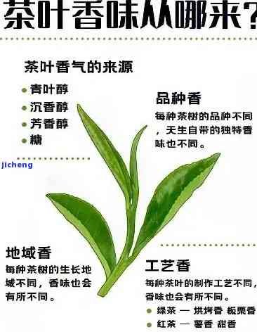 什么茶有蜜香味-什么茶有蜜香味儿