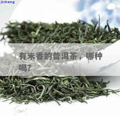 什么茶有股米香味，揭秘：哪种茶叶带有特别的米香味？