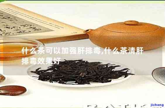 喝什么茶排肝毒-喝什么茶排肝毒最有效