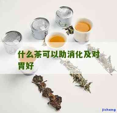 什么茶有助消化-什么茶有助消化和养胃