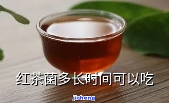 红茶菌长得快吗-红茶菌长得快吗还是慢