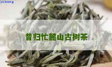 昔归忙麓山古树-昔归忙麓山古树茶特点