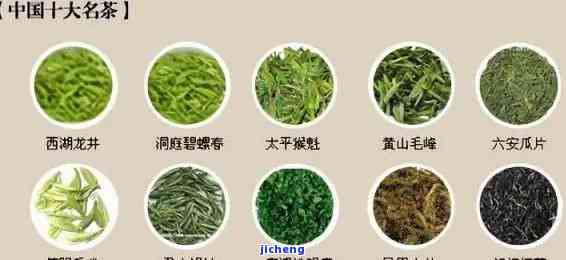 大叶茶叫什么茶，探寻茶叶世界：大叶茶的别名与分类