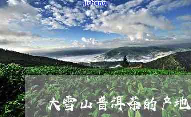 大雪山茶区属于哪儿，揭秘：大雪山茶区究竟位于何处？