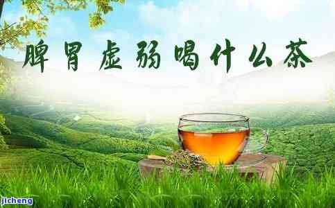 脾虚能喝什么茶调理，脾虚？试试这些茶，帮你调理身体！