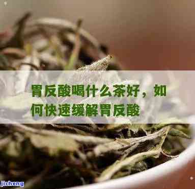 胃反酸喝什么茶-胃反酸喝什么茶比较好