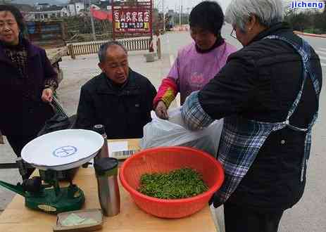 国人喝什么茶-国人喝什么茶比较多