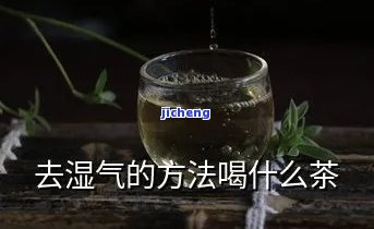 祛湿热喝什么茶-祛湿热喝什么茶好