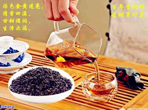 减肥降血脂喝什么茶？选择方案！