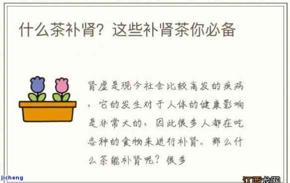 养身体喝什么茶-养身体补肾喝什么茶