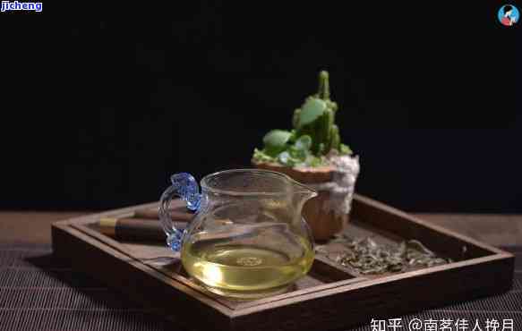 适合喝什么茶，品味无穷：寻找最适合你的茶饮推荐