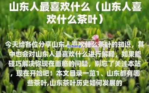 山东人一般喝什么茶？探究山东人的茶叶喜好