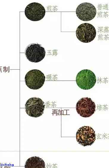 州人喝什么茶？探究当地最受欢迎的茶叶品种