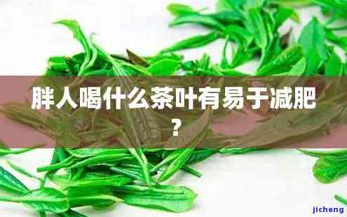 胖的人喝什么茶减肥？效果的选择是什么？