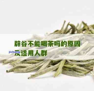 辟谷期间适合饮用哪些茶叶？请看专家推荐！