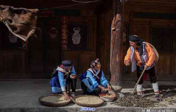 探究纳西族的茶文化：历、俗与意义