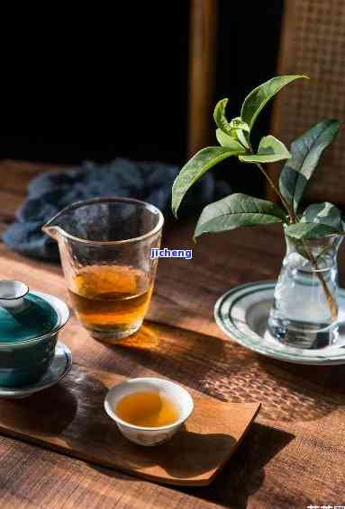 5月底喝什么茶合适？精选适合此时节的茶品推荐