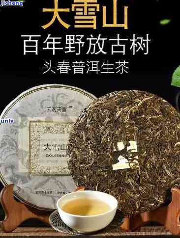 大雪山古树茶红茶价格全解析：多少钱一斤？附图片