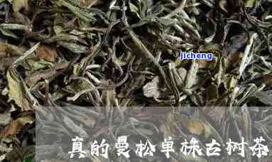 曼松古树茶单株-曼松古树茶单株多少克