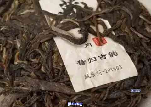 昔归单株图沱茶-昔归单株是什么茶