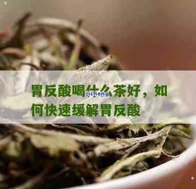 喝什么茶不胃酸反酸？全面解答你的疑问