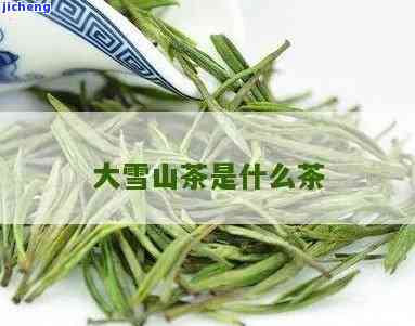 大雪山茶口感：特别特点与名山比较