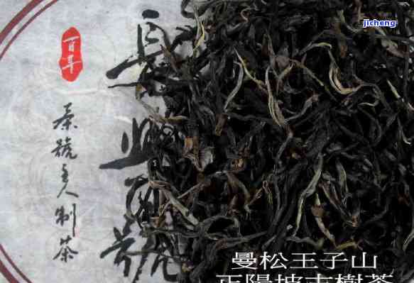 曼松王子山散茶价格全解析：古树茶与普洱茶的价格对比