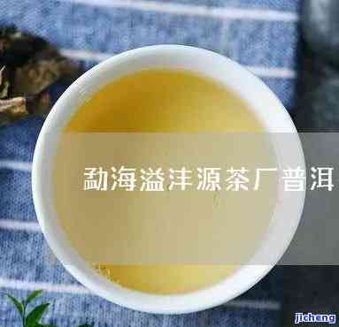 溢沣源茶厂昔归-溢沣源茶最新价格