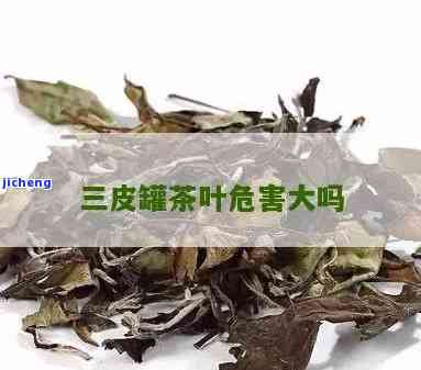 三皮罐茶叶：属于红茶、绿茶还是白茶？