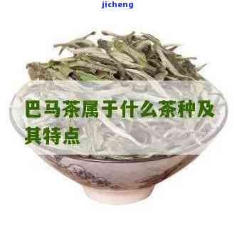 巴马茶是红茶吗还是白茶，解析巴马茶：它是红茶还是白茶？