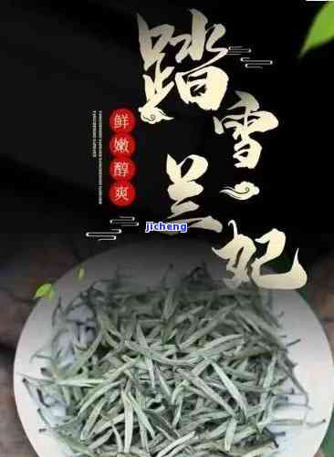 踏雪兰妃什么茶叶，探秘踏雪兰妃：一种独特的茶叶品种