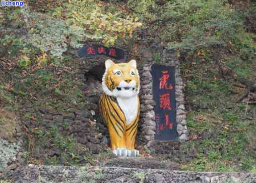 虎是什么东西，探秘州著名景点：虎的历与文化