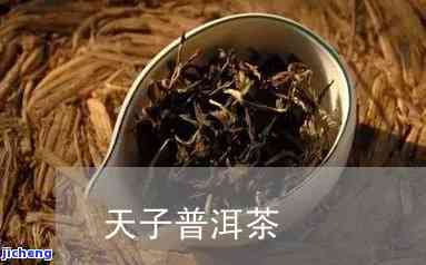 天子茶是什么茶-天子茶是什么茶类