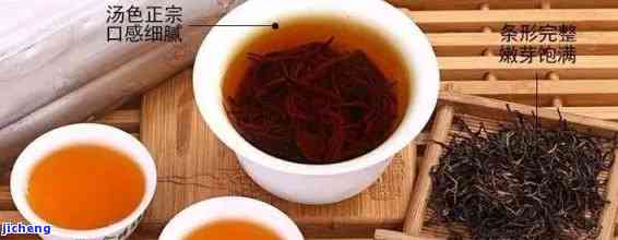 赤叶茶是什么茶-赤叶茶是什么茶种