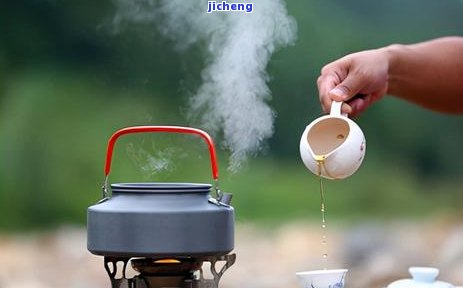 浓茶是指什么茶叶的种类，探秘浓茶：了解哪些茶叶种类属于浓茶畴