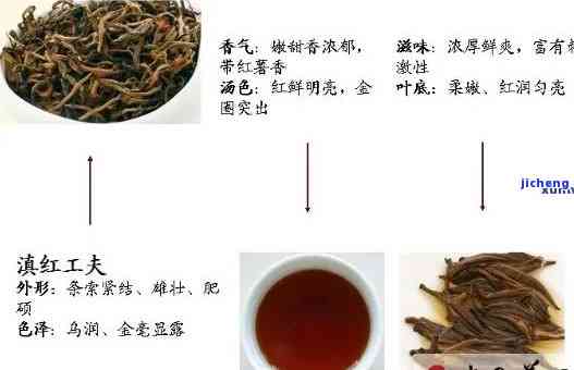 中国红茶三大类：品种、制作工艺与口感特点全解析